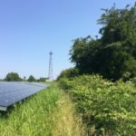 太陽光発電の除草対策